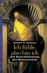 Angeloid. Bd.11