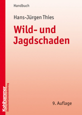 Klinische Muster in der Manuellen Therapie