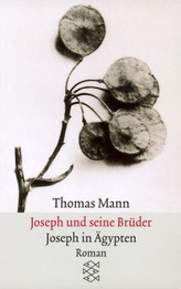 Samuel Hahnemann. Bd. 2