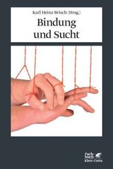 Sprachkurs, DVD-ROM m. Audio-CD u. Textbuch. Tl.2