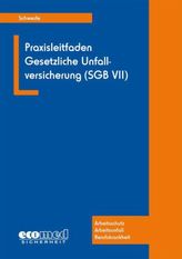 VStG Verwaltungsstrafgesetz 1991  (f. Österreich)
