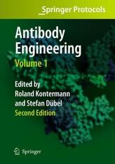 Antibody Engineering. Vol.1