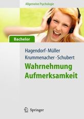 Wahrnehmung, Aufmerksamkeit