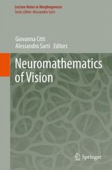 Neuromathematics of Vision