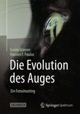 Die Evolution des Auges