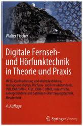 Digitale Fernseh- und Hörfunktechnik in Theorie und Praxis