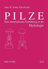 Last Minute: Physik 7. Klasse