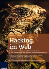 Hacking im Web