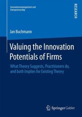 Valuing the Innovation Potentials of Firms