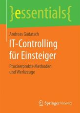 IT-Controlling für Einsteiger