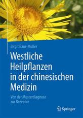 Individuell wohnen mit Farbe