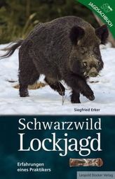 Schwarzwild Lockjagd