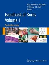 Handbook of Burns. Vol.1
