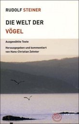 Positionierung: Lagerungen und Positionswechsel