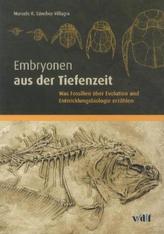 Embryonen aus der Tiefenzeit