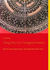 Feng Shui für Fortgeschrittene. Bd.3/2