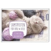 Samtpfoten für Herz & Seele