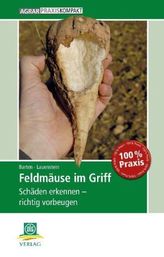 Liebe auf den ersten Kuss
