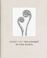 Robert Voit