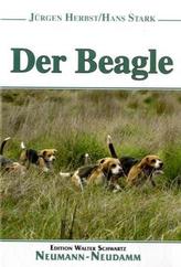 Der Beagle