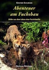 Denken Sie nicht an einen blauen Elefanten!