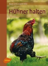 Das große Buch zur Osterzeit