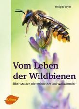 Mit den besten Wünschen für dein Leben!