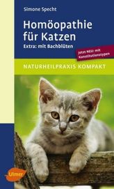 Meine erste bunte Bibel