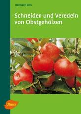 Umkämpftes Essen