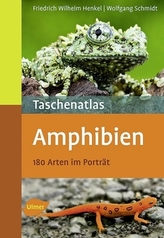 Taschenatlas Amphibien