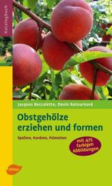 Kinder mit psychisch kranken Eltern