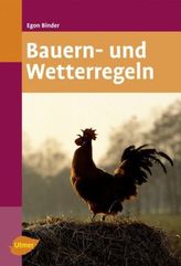 Mitgefühl, Trauma und Achtsamkeit in psychodynamischen Therapien