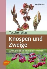 Taschenatlas Knospen und Zweige