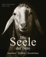 Die Seele der Tiere