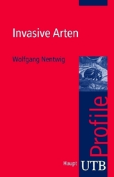 Gottesgedanken