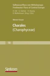 Charales