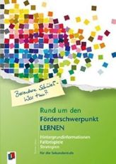 Rund um den Förderschwerpunkt Lernen