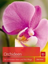 Orchideen