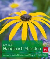3D-Bildsegmentierung mittels statistischer Formmodelle