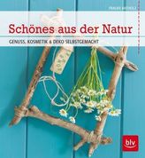 Die Bewältigung beruflicher Anforderungen durch Lehrpersonen im Berufseinstieg