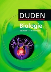 Graphentheorie
