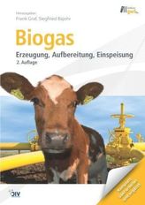 Biogas, m. DVD-ROM (eBook)