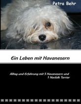 Handbuch der betriebswirtschaftlichen Kennzahlen
