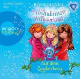 Drei Freundinnen im Wunderland , Auf dem Zauberberg, 1 Audio-CD