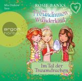 Drei Freundinnen im Wunderland. Im Tal der Traumdrachen, 1 Audio-CD