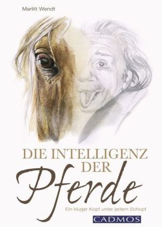 Die Intelligenz der Pferde Die Intelligenz der Pferde