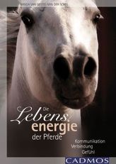 Die Lebensenergie der Pferde
