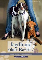 Jagdhund ohne Revier?