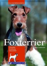 Foxterrier