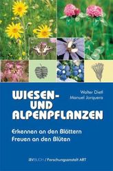 Wiesen- und Alpenpflanzen